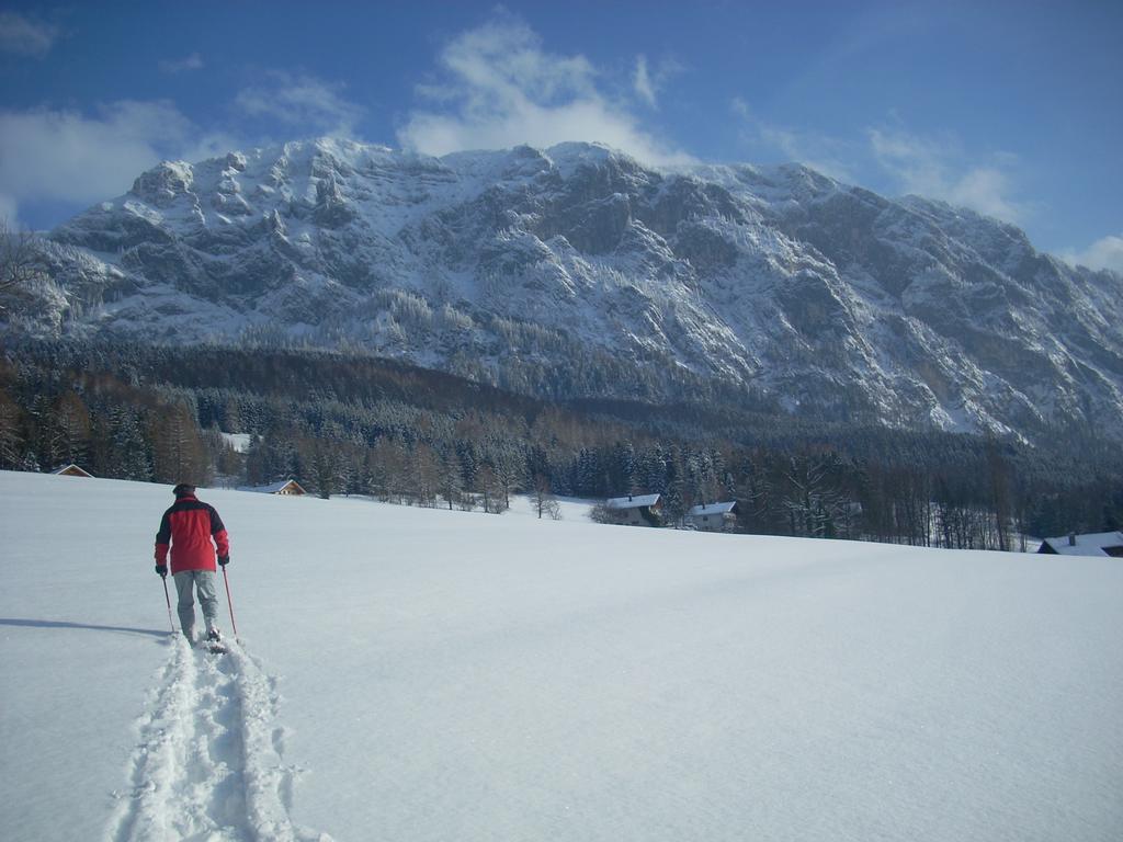 דירות שטיינבאך אם אטרזי Attersee-Chalet Angermann Familie Spalt מראה חיצוני תמונה