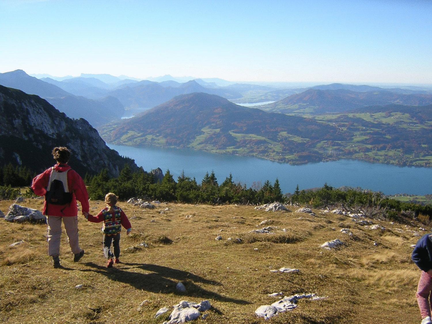 דירות שטיינבאך אם אטרזי Attersee-Chalet Angermann Familie Spalt מראה חיצוני תמונה