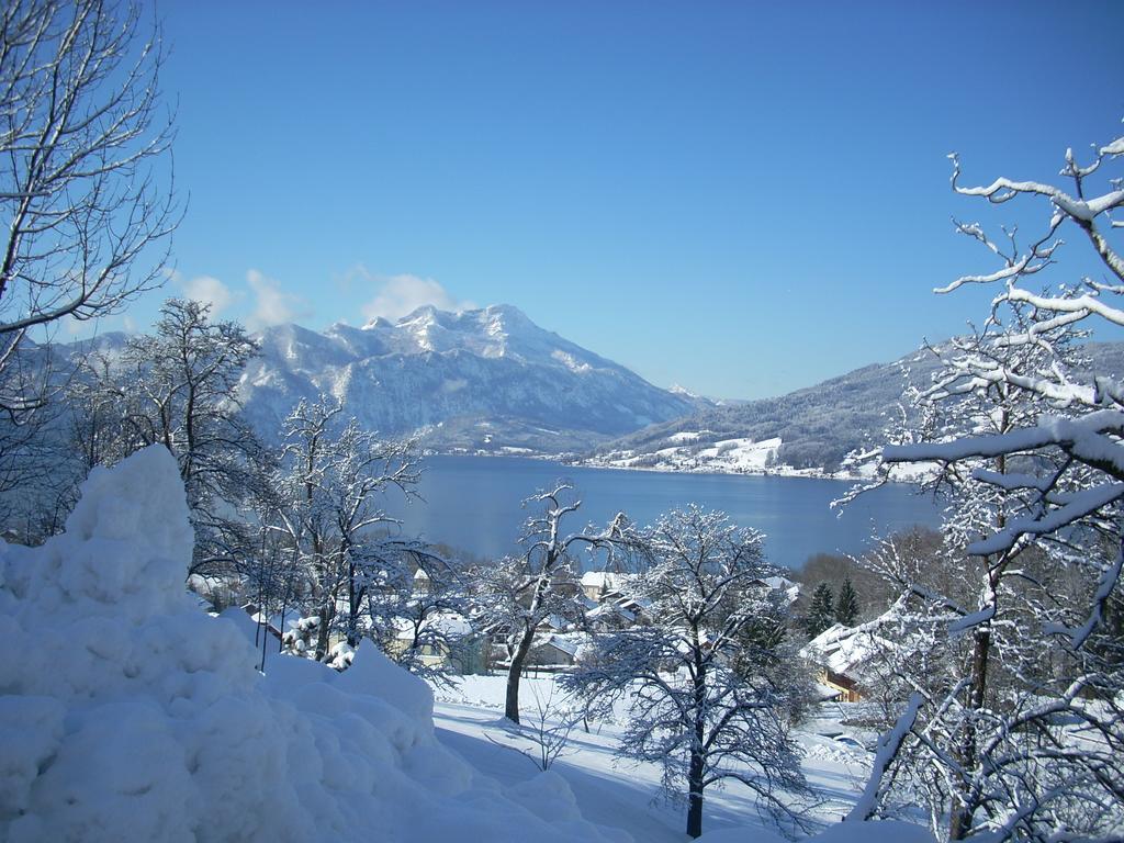 דירות שטיינבאך אם אטרזי Attersee-Chalet Angermann Familie Spalt מראה חיצוני תמונה